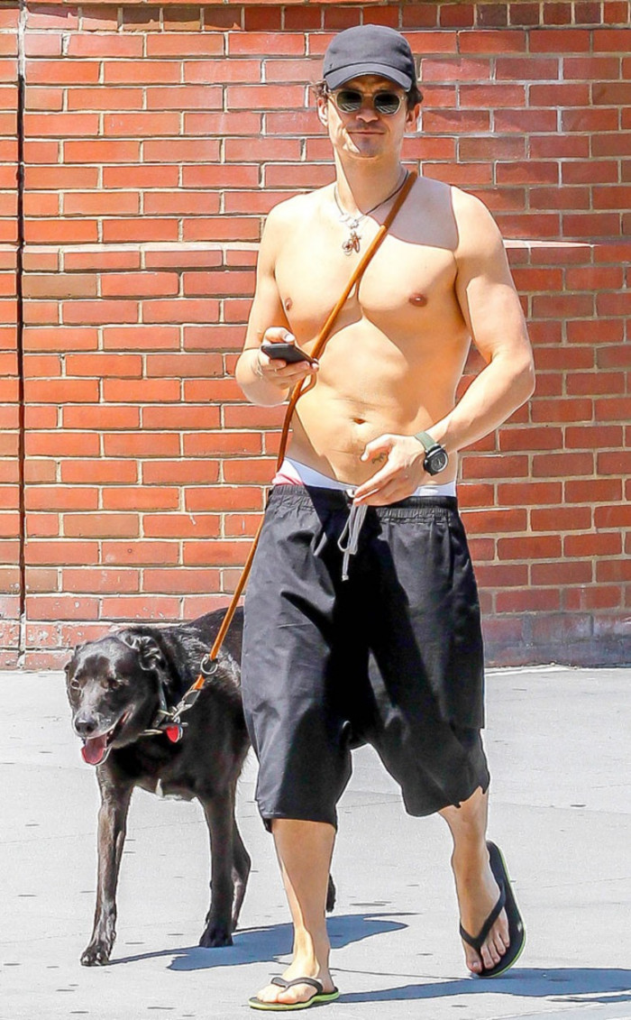 31. Orlando Bloom and his adopted black Saluki mix, Sidi