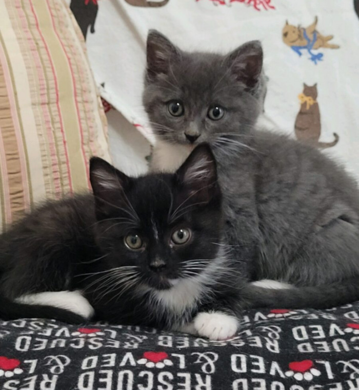 The happiest siblings.