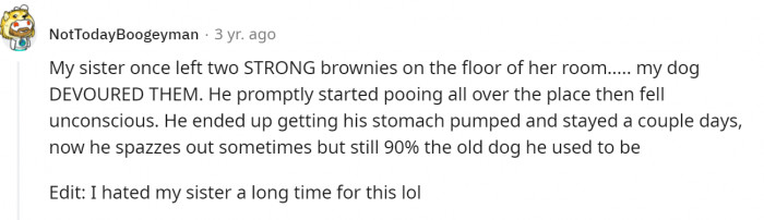 Always make sure that there are no edibles within dogs' reach.