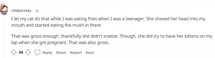 Okay, this is gross. Another weird cat doing strange things.