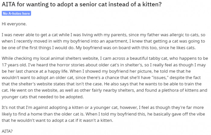 It is absolutely fine to adopt an older cat rather than kittens.