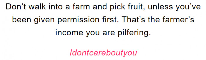 12. Don't make the mistake of picking fruits from anyone's farm unless given permission.