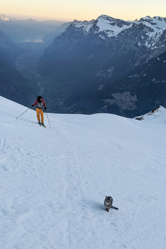 They later learned that the adventurous cat had gone missing a few days earlier and had followed another group of hikers up the mountain.