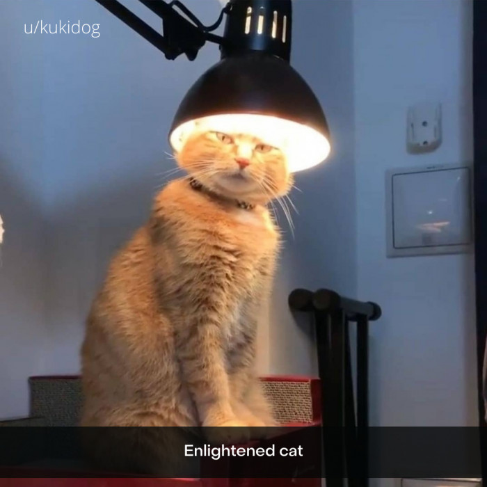 36. Where's a rimshot when you need one?