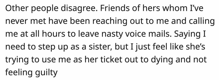 The sister's friends disagree with OP's 'selfish' choice not to adopt the kids.