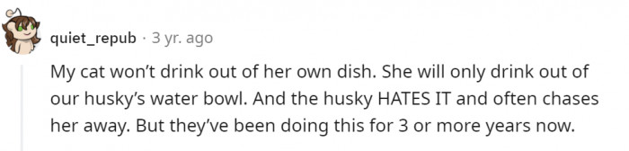 But sometimes it’s just to mess with dogs:)