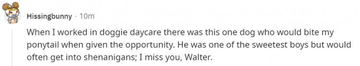 16. Walter and his obsession with ponytails.