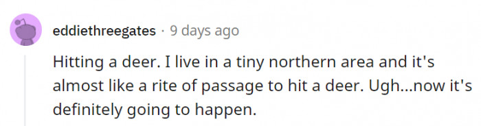 8. Please don't hit a deer! The poor things haven't done anything to you yet.