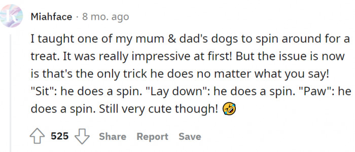 Spinning around for a treat.