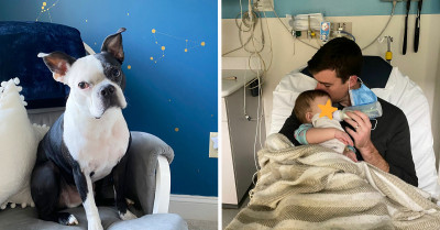 Dog Kept Trying to Break Into Baby's Nursery to Warn Parents That the Baby Was Suffocating