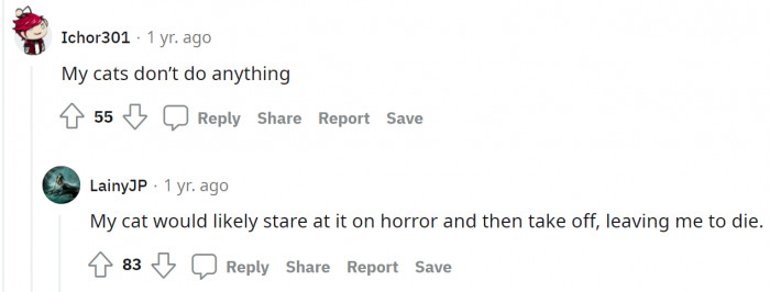 To Pondnymph's idea, two people were sure their cats would dart for the window. I don't blame them, though. With a name like Big Bongo, you need dinosaurs that spit fire.