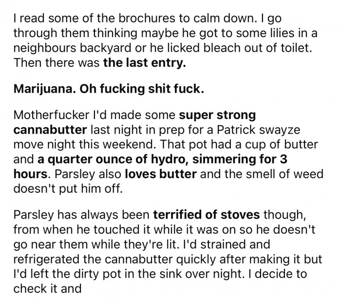 Then it finally hit them, and they realized what could have made their cat “sick.”