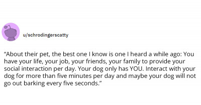 20 Veterinarians Speak About Things Pet Owners Should Know About Their Pets