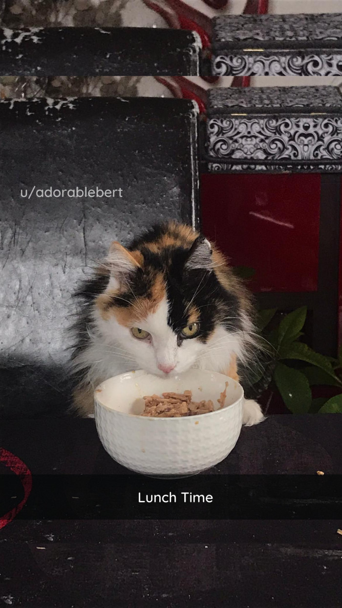 2. Bon Appétit