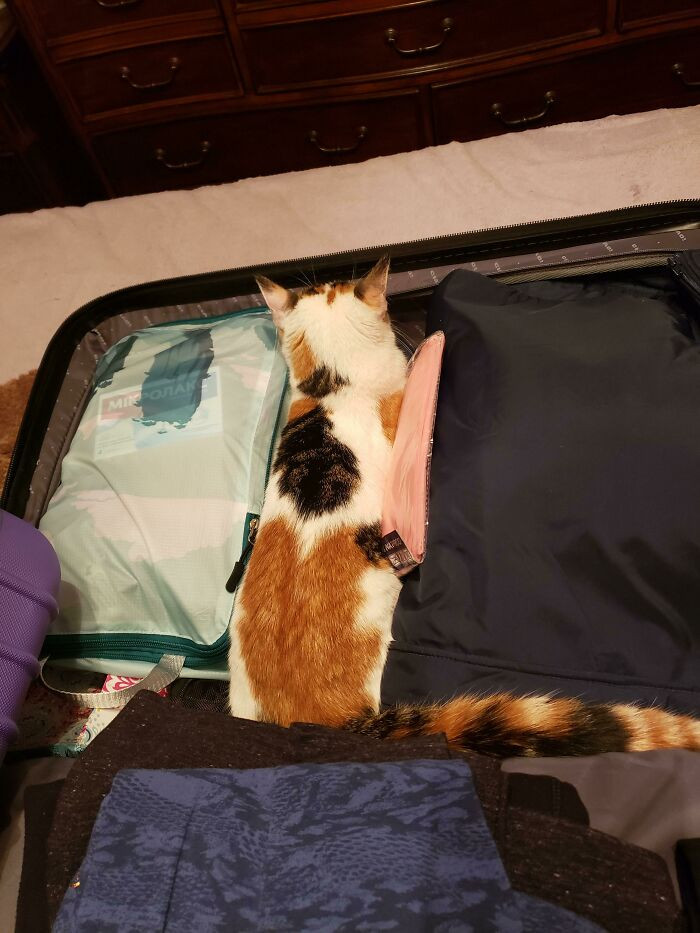 17. "You're not leaving without me"