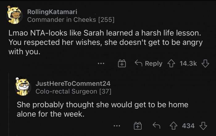 Here's how Reddit users reacted to u/Fun_Talk3027's situation: