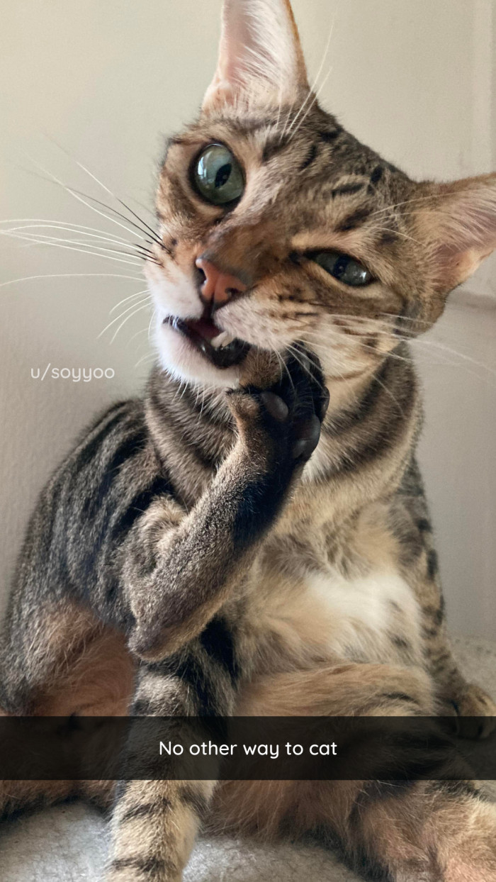 34. One must cronch the toe beans.