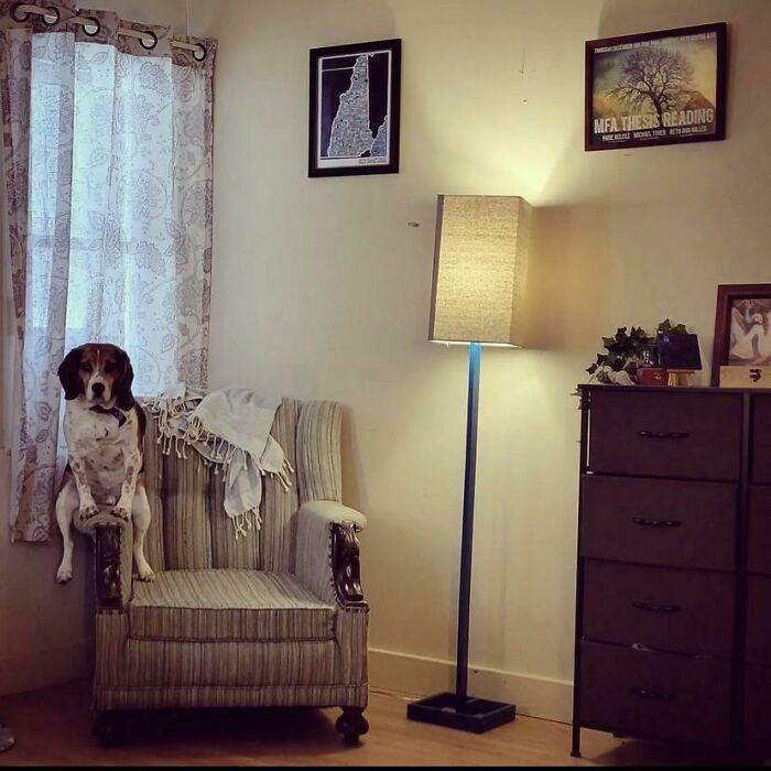 35. I guess he's a little bit confused but still gets it, though