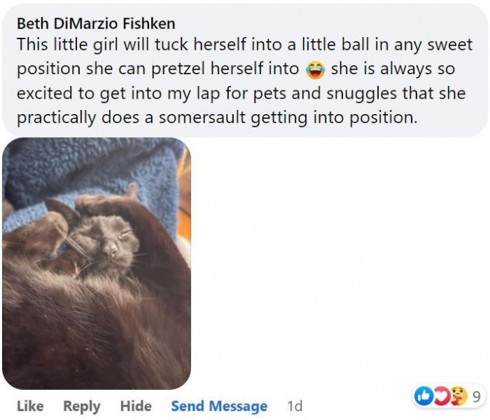 12. When your cat does a somersault right before getting into its best position