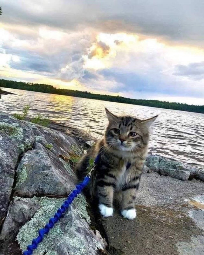 10. It's time to catch some fish