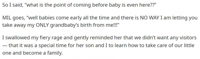 OP tried very hard to control her anger. But MIL wasn't done.