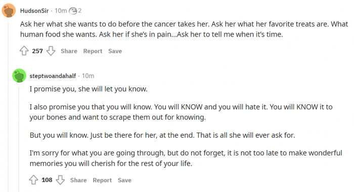 14. No, we're not crying. You're crying.