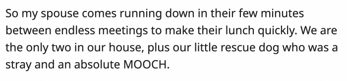 Pet dog playfully reacts, bringing laughter in a joyful pet ownership story.