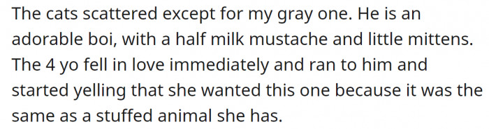 The child noticed the grey kitty that looked like her stuffed toy and immediately fell in love with him.