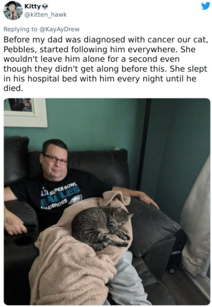 #8 It appears that animals can sense cancer.