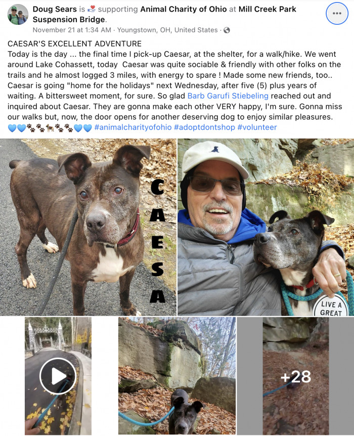 He commemorated their final adventure with one last post featuring photos and videos of Caesar happily walking alongside Doug.