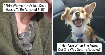 50 Wholesome Rescue Pet Photos Will Make Your Heart Melt
