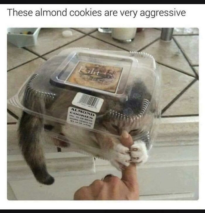8. The most aggressive almonds you're ever going to see