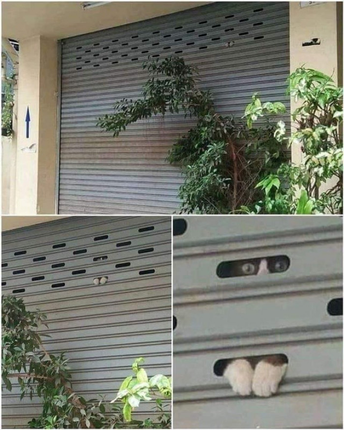 10. Look closer because someone might be spying on you