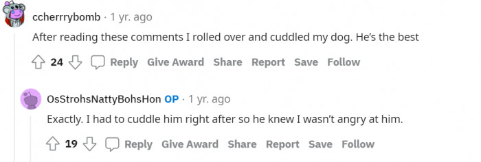 #15 Have a dose of dog cuddles.