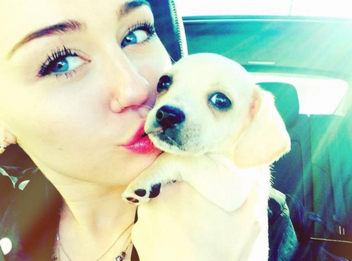 38. Miley Cyrus and her cute puppy