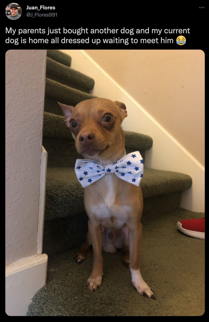 1. This dapper gentleman who does not take making a great first impression lightly.