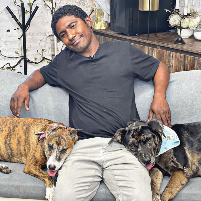 Snuggling with their owner