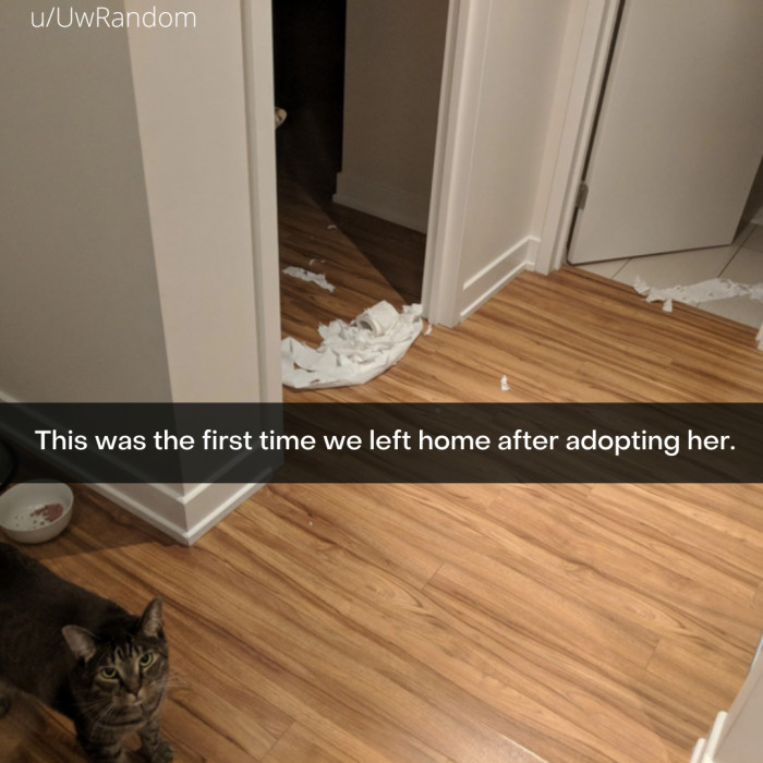 17. How DARE YOU leave her?