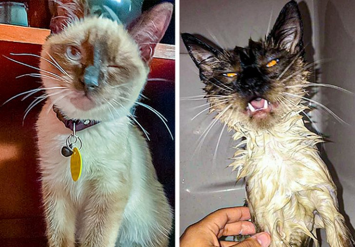 3. She is crying her eyes out because she hates taking a bath