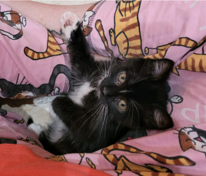 And he was named Rumble!