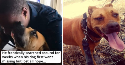Man Gets Reunited With His Dog That Has Been Missing For Over A Year After Getting A Call On His Birthday
