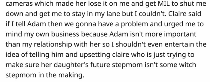 OP’s Wife Got Mad and Even Involved Her Mother-in-Law When He Told Her He Would Disclose Her Wrongdoings to Her Ex