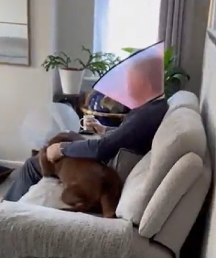 He managed to find a second cone of shame and put it on himself.