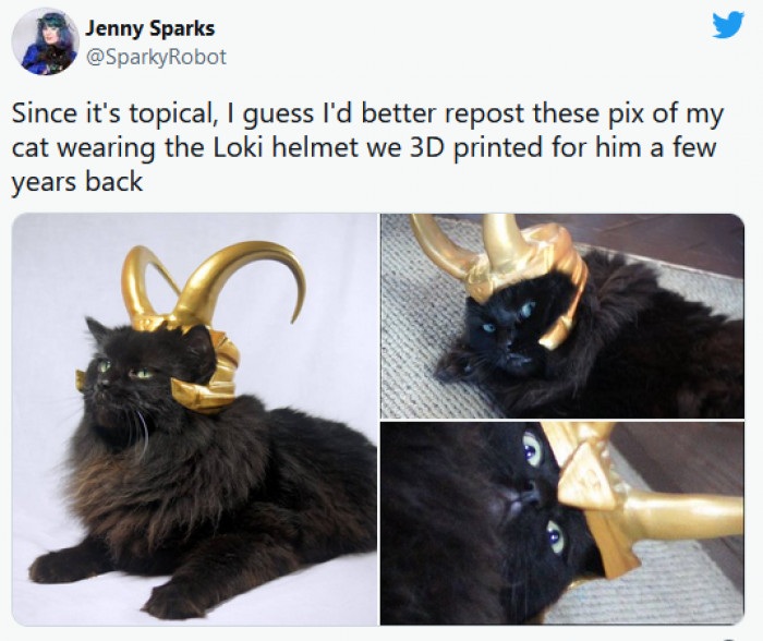 9. This black, fluffy cat would make the most reluctant superhero ever, and he would look so bored while saving the world