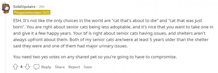 One yes and one no can work, I guess.