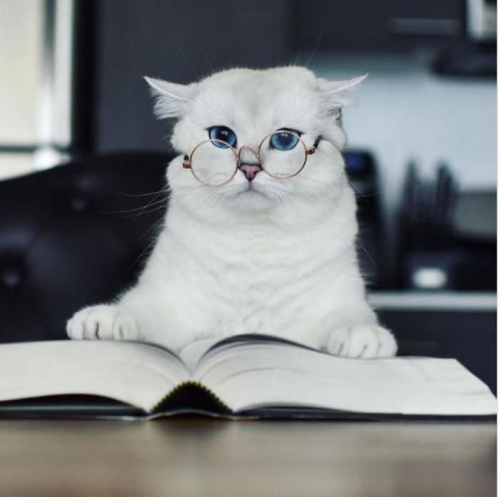 1. Coby with the swag; he looks like a professor