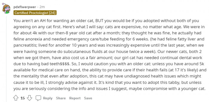 Cats are expensive, whether old or young.