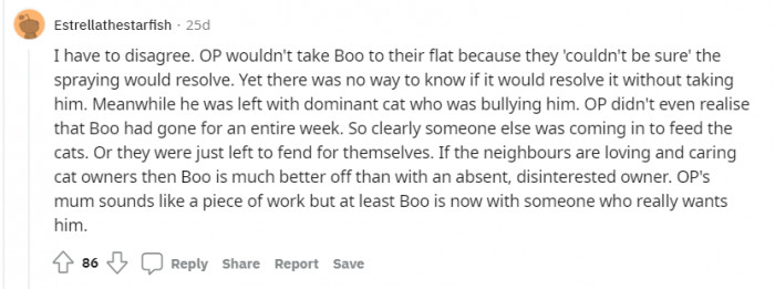 The first comment that actually agrees with the mother and isn't on OP's side. What do you think about this? She did leave the cat alone for some time.