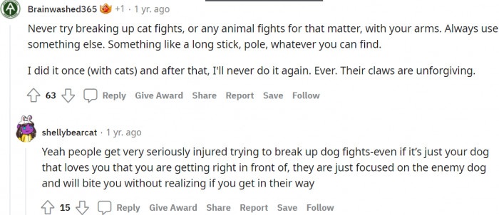 It's a no-no to break up catfights!