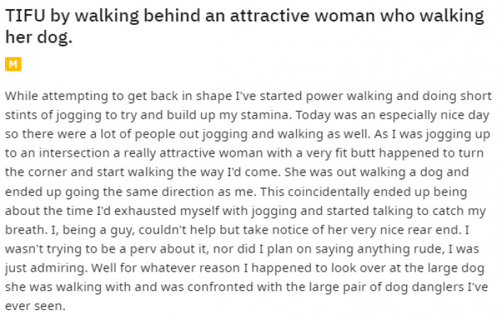 1. The Redditor happened to come in contact with a very attractive woman while jogging, but surprisingly, it was her dog that caught his attention.